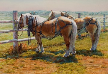  Indiana Peintre - amérique du nord indiana 77 chevaux